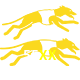  55XX